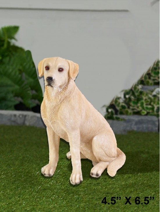 6" Golden Retriever 